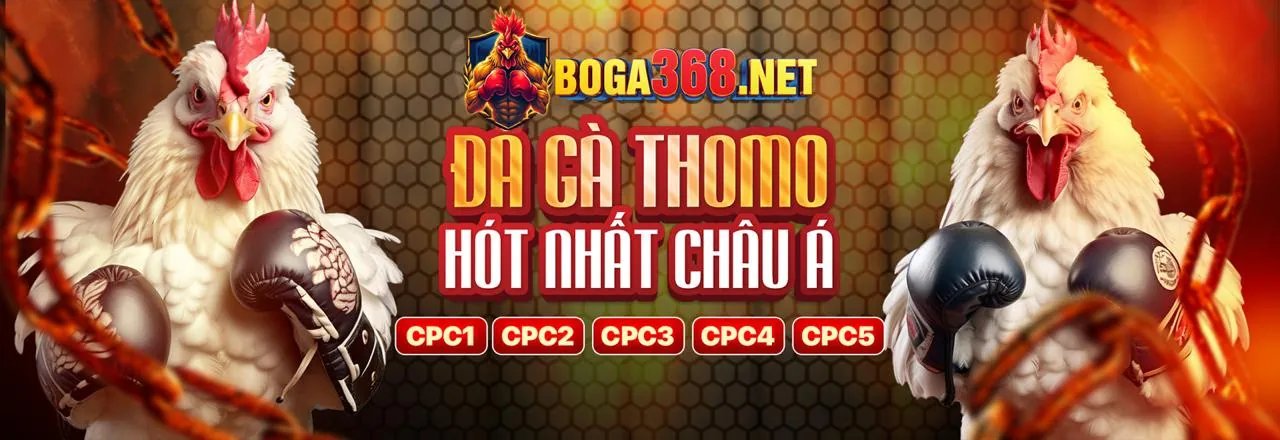 Ưu Đãi Đặc Biệt Khi Tải APP Dafabet
